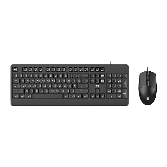 External keyboard and mouse